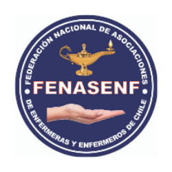 Federación Nacional de Asociaciones de Enfermeras y Enfermeros De Chile